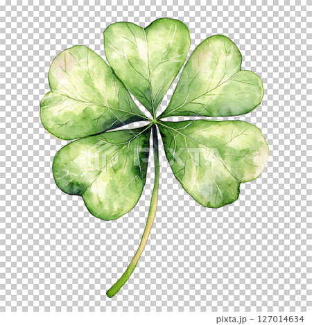 Watercolor illustration of green four leaf clover with detailed 127014634