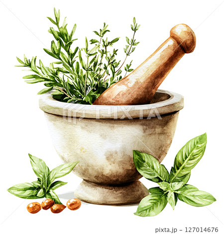 Watercolor illustration of mortar and pestle with fresh herbs 127014676