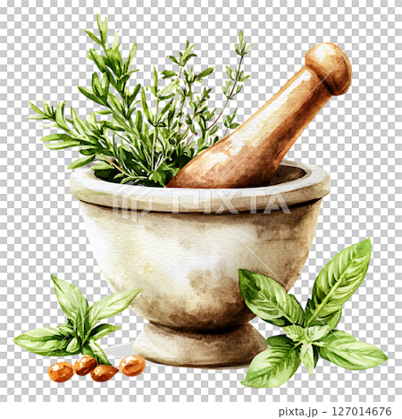Watercolor illustration of mortar and pestle with fresh herbs 127014676