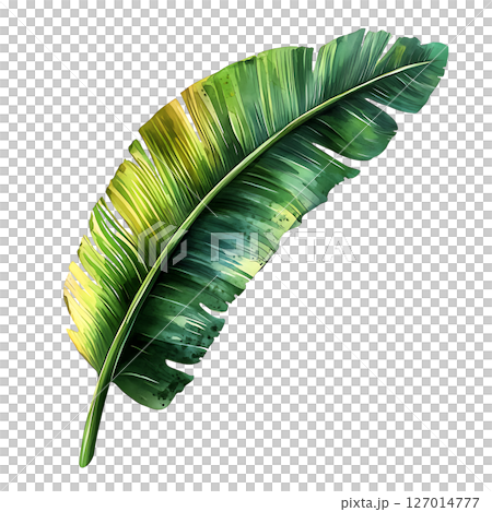 Vibrant green tropical leaf with detailed texture and natural 127014777