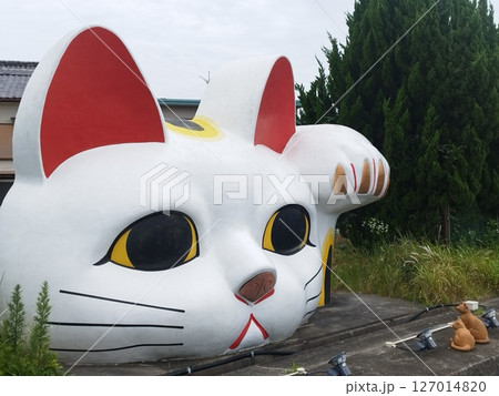 やきもの散歩道の招き猫のオブジェ（愛知：常滑） 127014820