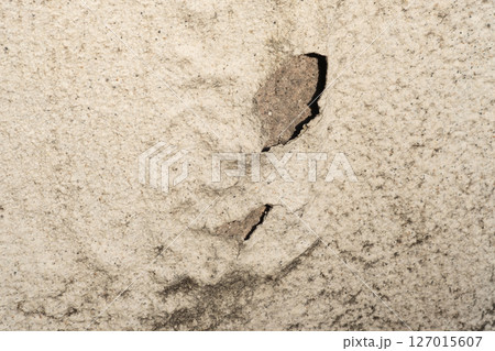 住宅の壁面の塗装剥がれのイメージ (写真素材) 住宅の壁面の塗装剥がれのイメージ (写真素材) 127015607