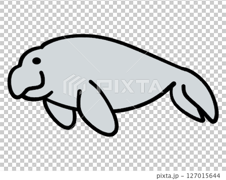 Dugong illustration material 127015644