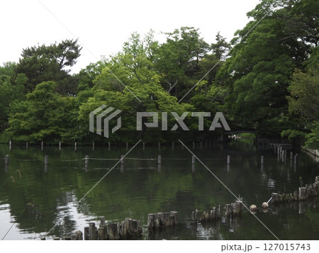 初夏の洗足池、東京都大田区「洗足池」 初夏の洗足池、東京都大田区「洗足池」 127015743