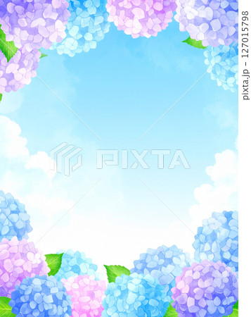 紫陽花　青空　梅雨明け 127015798