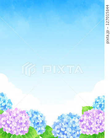 紫陽花　青空　梅雨明け 127015844