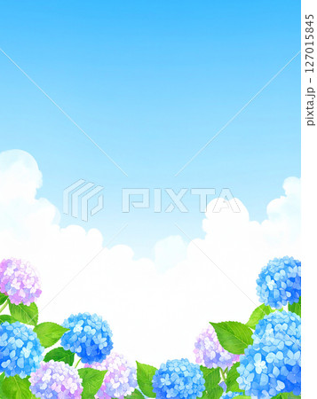 紫陽花　青空　梅雨明け 127015845