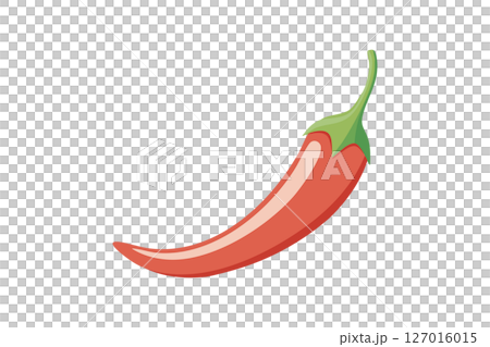 唐辛子のイラスト 唐辛子のイラスト 127016015