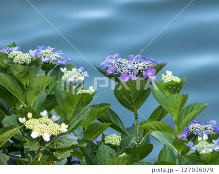 形原温泉の景色 127016079