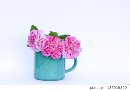 Pink roses in the ceramic mug on a white background. 127016890