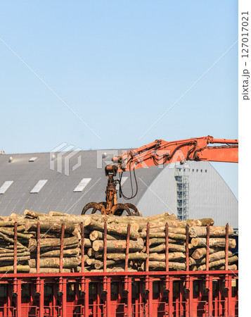 pile of logs at the port ready for loading to ships 127017021