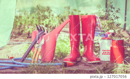 Gardening tools outdoor in garden 127017056