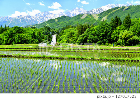 栂池パノラマ橋／鹿島槍ヶ岳～五竜岳～八方尾根方面を望む(長野県小谷村)【2025.6】 127017325