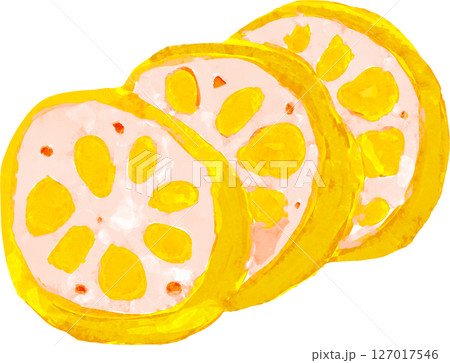 からしレンコンのイラスト 127017546