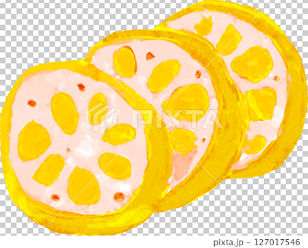 からしレンコンのイラスト 127017546