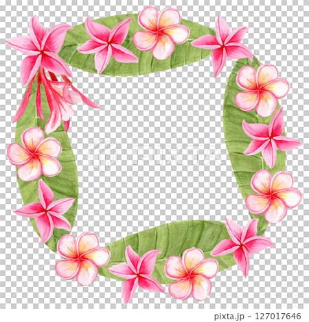 Tropical square frame with pink frangipani flowers and green leaves, hand painted in watercolor. Perfect for Cambodian tourism, spa branding, wedding invitations, eco packaging, and summer cards Tropical square frame with pink frangipani flowers and green leaves, hand painted in watercolor. Perfect for Cambodian tourism, spa branding, wedding invitations, eco packaging, and summer cards 127017646