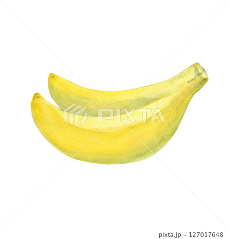 Two ripe yellow bananas hand painted in watercolor isolated on white. Ideal for food packaging, kitchen decor, organic product labels, fruit branding, diet blog visuals, tropical designs, culinary Two ripe yellow bananas hand painted in watercolor isolated on white. Ideal for food packaging, kitchen decor, organic product labels, fruit branding, diet blog visuals, tropical designs, culinary 127017648