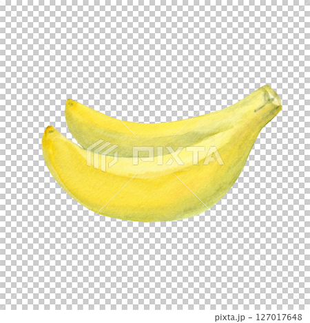 Two ripe yellow bananas hand painted in watercolor isolated on white. Ideal for food packaging, kitchen decor, organic product labels, fruit branding, diet blog visuals, tropical designs, culinary Two ripe yellow bananas hand painted in watercolor isolated on white. Ideal for food packaging, kitchen decor, organic product labels, fruit branding, diet blog visuals, tropical designs, culinary 127017648