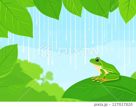 雨 梅雨 アマガエル カエル 雨 梅雨 アマガエル カエル 127017820