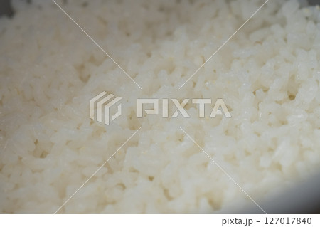 炊飯器で炊いたお米 (写真素材) 炊飯器で炊いたお米 (写真素材) 127017840