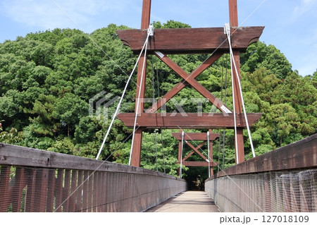 緑のかけ橋 127018109