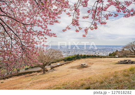 焼津市の笛吹段公園から見た焼津の街並みと空の風景(静岡県) 127018282