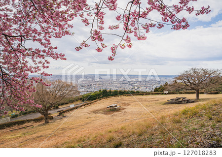 焼津市の笛吹段公園から見た焼津の街並みと空の風景(静岡県) 焼津市の笛吹段公園から見た焼津の街並みと空の風景(静岡県) 127018283