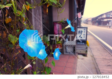 朝顔　喫茶　狩人　荻町合掌造り集落　世界文化遺産　白川郷　茅葺 127018452
