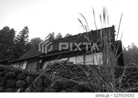 荻町合掌造り集落　世界文化遺産　白川郷　茅葺 127019101