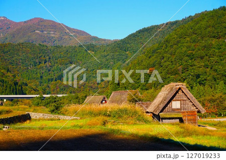 荻町合掌造り集落　世界文化遺産　白川郷　茅葺 127019233