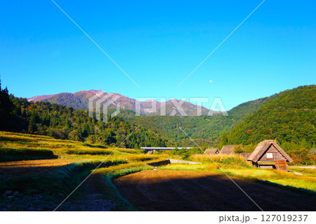 荻町合掌造り集落 世界文化遺産 白川郷 茅葺 荻町合掌造り集落 世界文化遺産 白川郷 茅葺 127019237