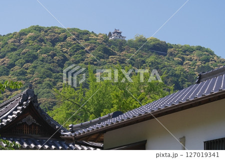 吉香公園から見る岩国城 127019341