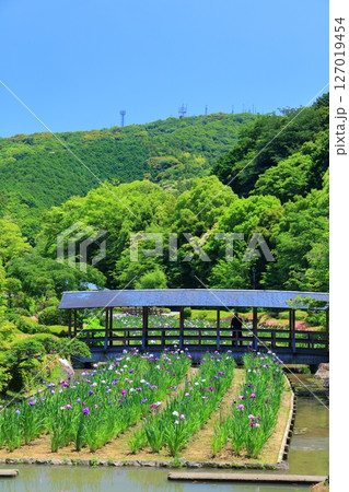 【愛媛県】晴天の南楽園花菖蒲まつり（東菖蒲園） 127019454