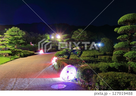 【愛媛県】晴天の南楽園の夜景 127019488