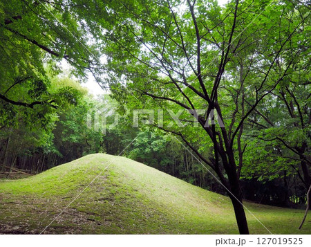 飯高山公園 築山 (熊本県合志市) 飯高山公園 築山 (熊本県合志市) 127019525