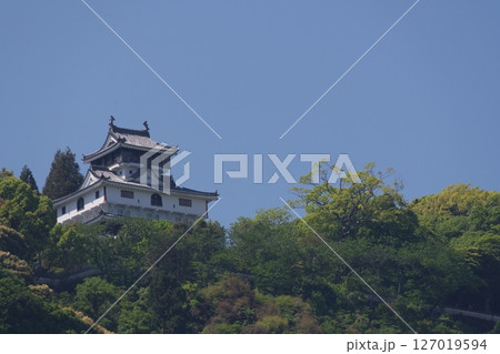 吉香公園から見る岩国城 吉香公園から見る岩国城 127019594