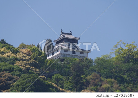 吉香公園から見る岩国城 127019597