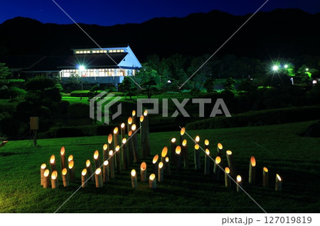 【愛媛県】晴天の南楽園の総合管理棟休憩所の夜景 127019819