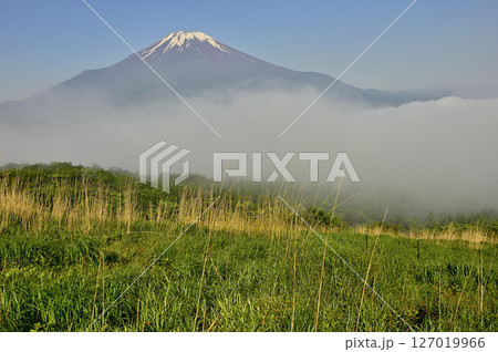 丹沢の鉄砲木ノ頭(明神山)より 晴れ行く朝霧に浮かぶ夏富士 丹沢の鉄砲木ノ頭(明神山)より 晴れ行く朝霧に浮かぶ夏富士 127019966