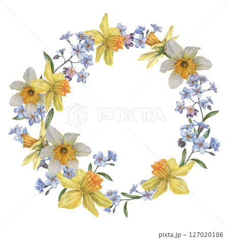 Spring daffodils, forget-me-nots, buds and leaves. Hand drawn watercolor illustration of narcissus flowers on isolated background. Botanical circle wreath for cards, invitations, branding 127020186