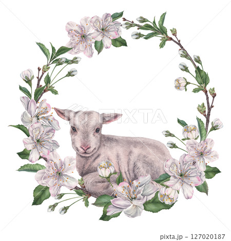 Circle wreath with cherry blossom, leaves, flower buds and twigs, with a lamb in the center. Hand drawn watercolor illustration of round frame on isolated background. Floral template for Easter decor 127020187
