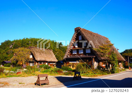美然ゆめろむ館 荻町合掌造り集落 世界文化遺産 白川郷 茅葺 美然ゆめろむ館 荻町合掌造り集落 世界文化遺産 白川郷 茅葺 127020243