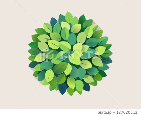 Top view of a green shrub with layered leaves in flat design, clean white background, minimal shadow, simple and modern nature illustration Top view of a green shrub with layered leaves in flat design, clean white background, minimal shadow, simple and modern nature illustration 127020312