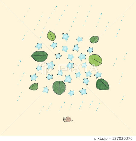 雨の中の紫陽花とカタツムリ 127020376