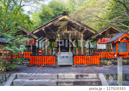 京都 嵯峨野 野宮神社 京都 嵯峨野 野宮神社 127020383