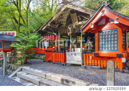 京都　嵯峨野　野宮神社 127020384
