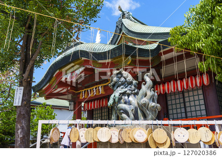 阿倍王子神社の拝殿　初夏【大阪市阿倍野区】 127020386