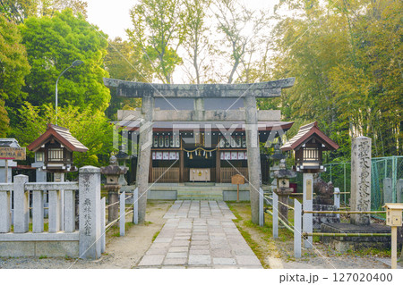 大鳥大社の摂末社 大鳥美波比神社(大阪府堺市西区鳳北町) 大鳥大社の摂末社 大鳥美波比神社(大阪府堺市西区鳳北町) 127020400