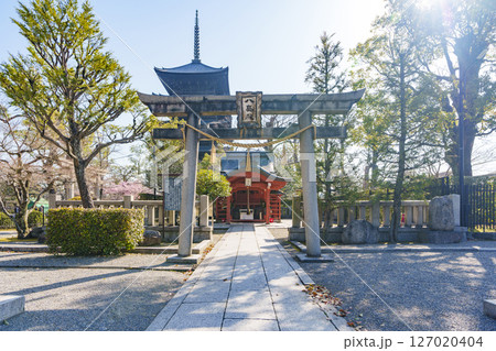 東寺　八島殿と五重塔 127020404