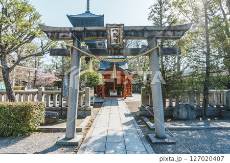 東寺　八島殿と五重塔 127020407
